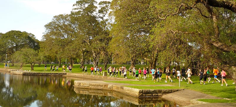 Fitness Affects the Economy