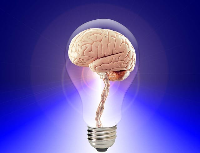Exercise oxygenates the brain, helping it function more effectively