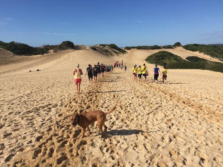 sand dunes