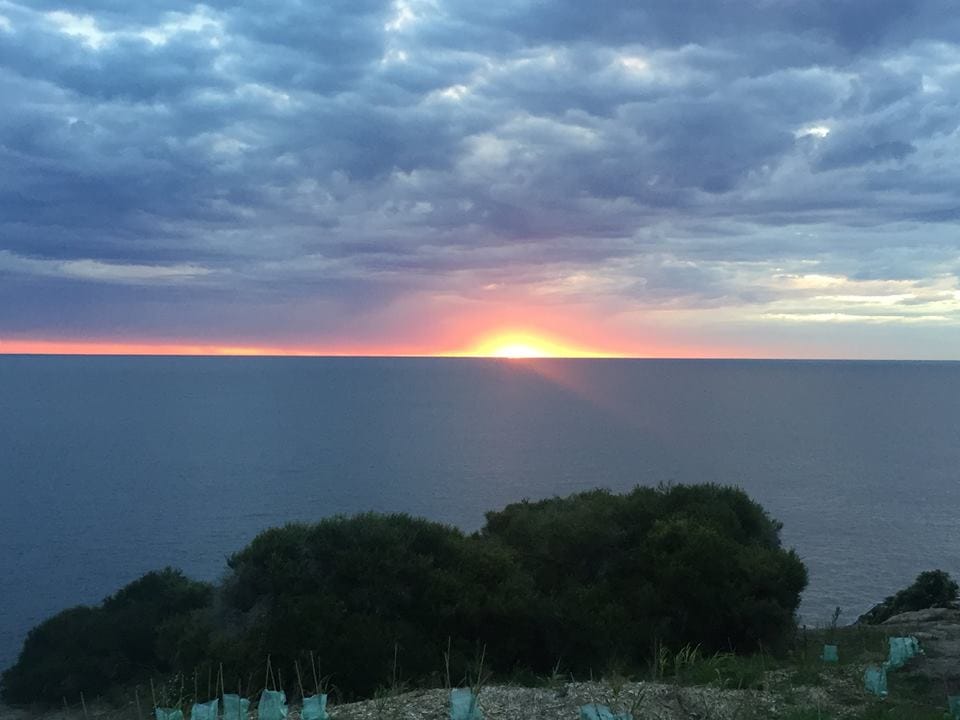 Bondi Sunrise