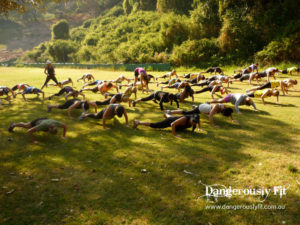 dangerously fit