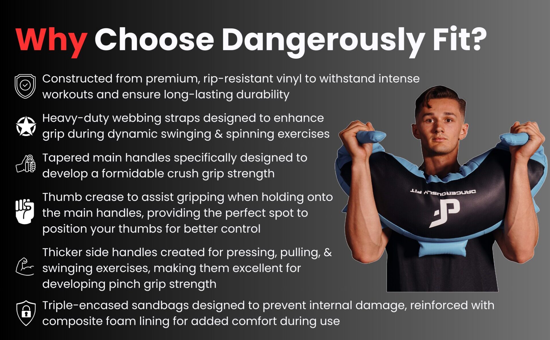 dangerously fit training bags