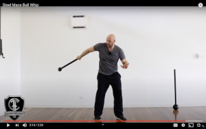 Steel Mace Bull Whip