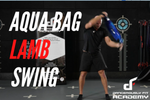 AQUA BULGARIAN BAG SWING